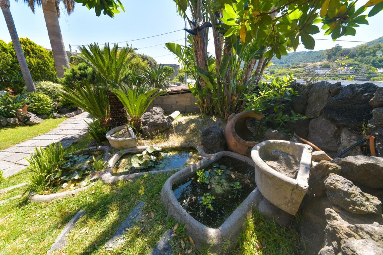 Barano dʼIschia Villa Stefania מראה חיצוני תמונה